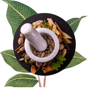 Ayurvedic Herbs